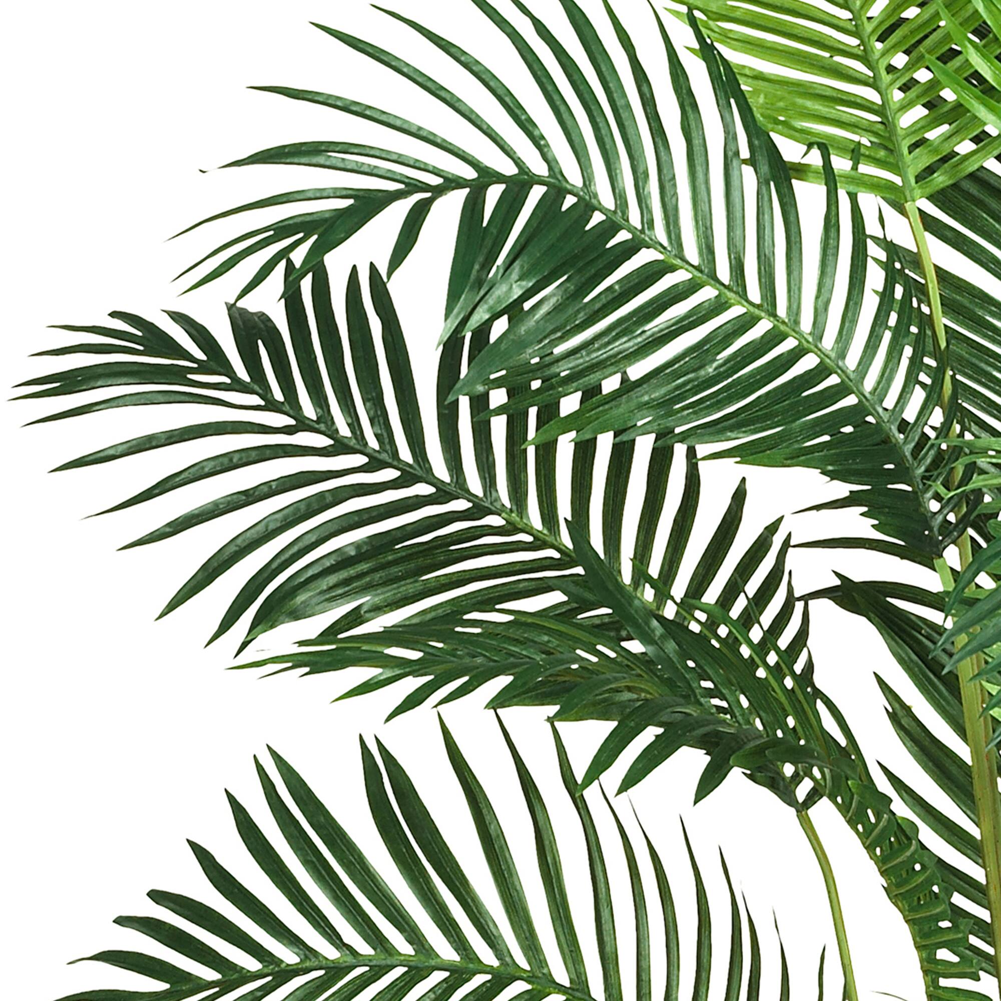 7ft. Potted Paradise Palm